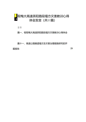 吸取梅大高速茶阳路段塌方灾害教训心得体会发言11篇（精选版）.docx