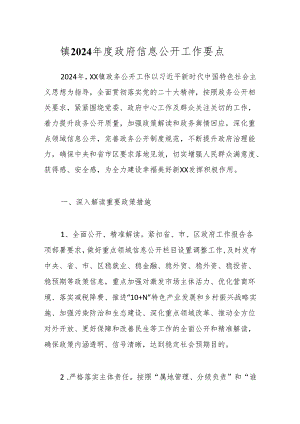 镇2024年度政府信息公开工作要点.docx