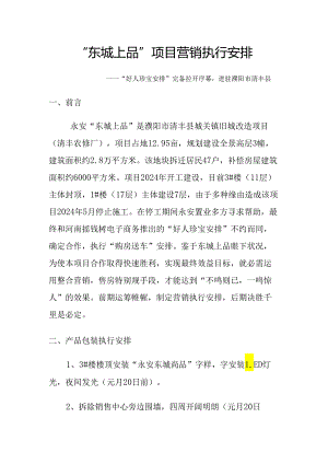 东城上品项目营销执行计划：濮阳市清丰县城关镇旧城改造项目(清丰农修厂)房地产营销执行方案-2025年营销.docx