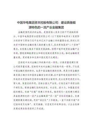 中国华电集团资本控股有限公司：建设具有能源特色的一流产业金融集团.docx