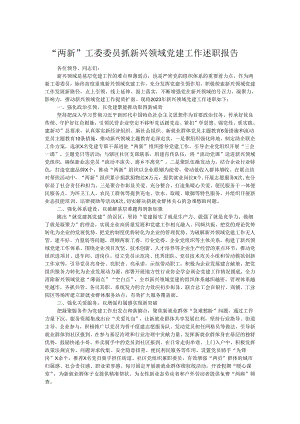 “两新”工委委员抓新兴领域党建工作述职报告.docx