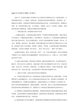 2024年全县医疗保障工作要点.docx
