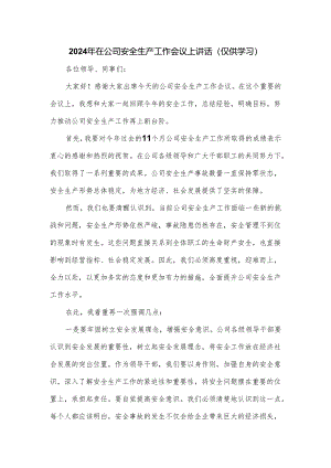 2024年在公司安全生产工作会议上讲话.docx