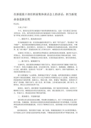 在新提拔干部任职前集体谈话会上的讲话：担当新使命 奋进新征程.docx