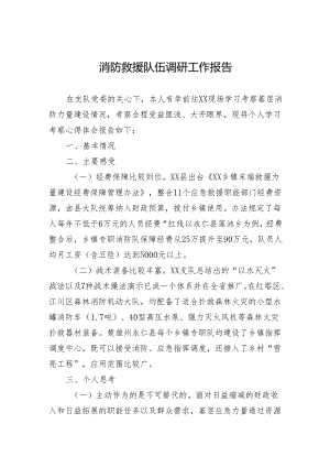 消防救援队伍调研工作报告.docx