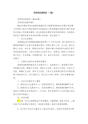 项目部自查报告（3篇）.docx