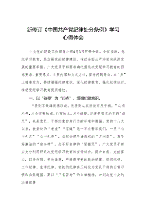 2024新修订中国共产党纪律处分条例六项纪律发言稿(六篇).docx