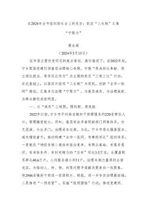 在2024年全市组织部长会上的发言：抓实“三长制”汇集“宁聚力”.docx