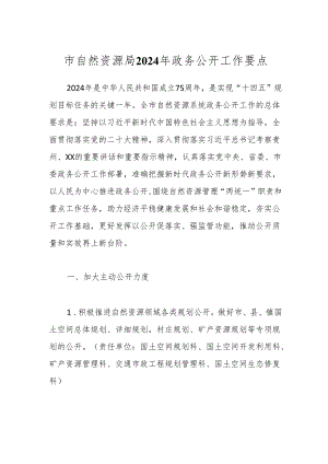 市自然资源局2024年政务公开工作要点.docx