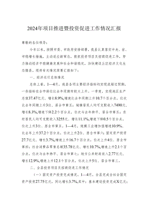 2024年项目推进暨投资促进工作情况汇报.docx