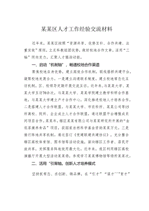 某某区人才工作经验交流材料.docx