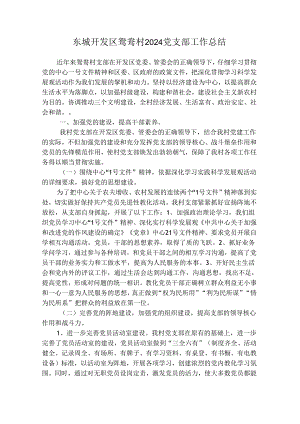 东城开发区鸳鸯村2024党支部工作总结.docx