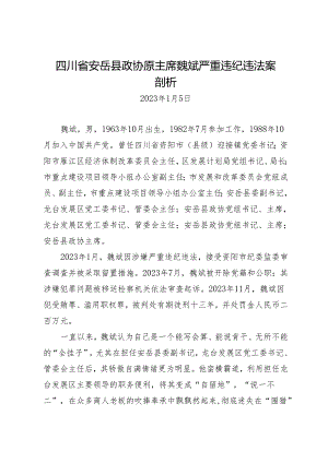 案例剖析：四川省安岳县政协原主席魏斌严重违纪违法案剖析.docx