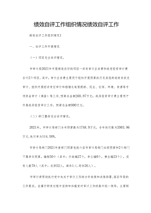 绩效自评工作组织情况 绩效自评工作.docx