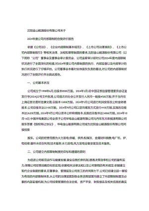 沈阳金山能源股份有限公司关于2024年度公司内部控制的自我评概要.docx