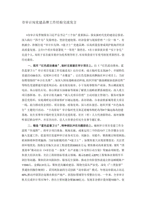 市审计局党建品牌工作经验交流发言.docx