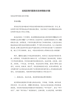 巡视反馈问题表态发言稿集合5篇.docx