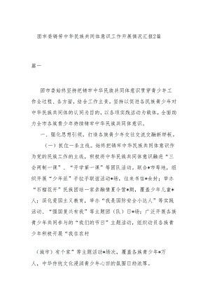 团市委铸劳中华民族共同体意识工作开展情况汇报2篇.docx