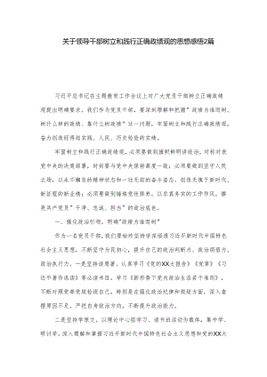 关于领导干部树立和践行正确政绩观的思想感悟2篇.docx