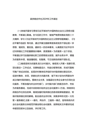 县供销合作社2024年工作谋划计划.docx