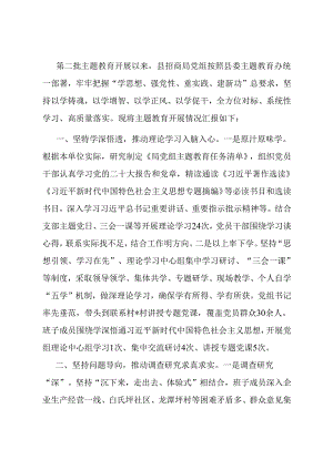 县招商局主题教育开展情况总结.docx