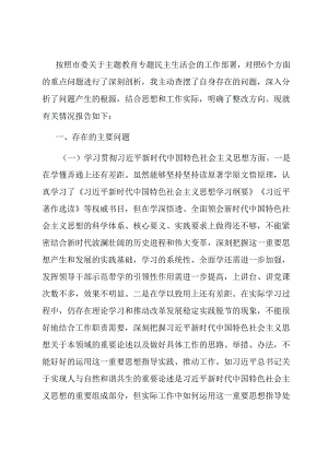 班子成员主题教育专题民主生活会对照检查发言材料.docx