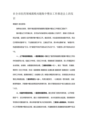 在全市医药领域腐败问题集中整治工作推进会上的发言.docx