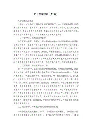 关于述廉报告（11篇）.docx