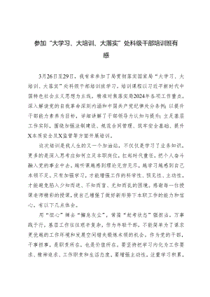 2024年参加“大学习、大培训、大落实”处科级干部培训班有感心得体会.docx
