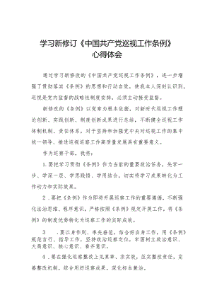 2024学习新修改的《中国共产党巡视工作条例》的心得体会十九篇.docx