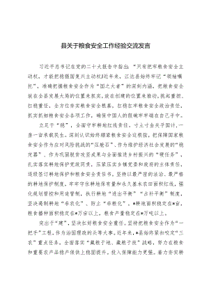 2篇2024年县关于粮食安全工作经验交流发言.docx