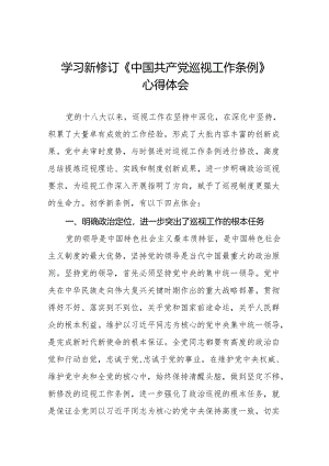 学习贯彻2024新修订中国共产党巡视工作条例心得体会研讨发言材料8篇.docx