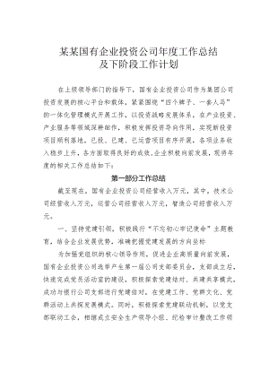 某某国有企业投资公司年度工作总结及下阶段工作计划.docx