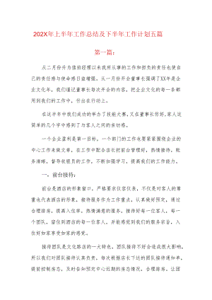 202x年上半年工作总结及下半年工作计划五篇.docx