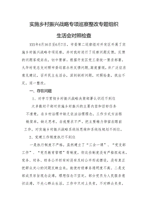 实施乡村振兴战略专项巡察整改专题组织生活会对照检查.docx