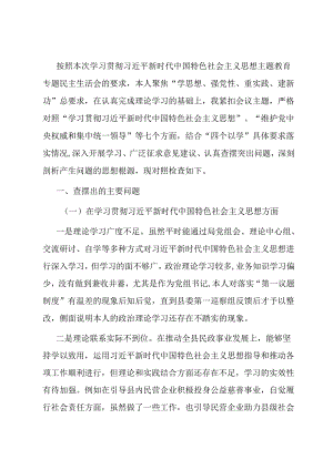 民政局长专题民主生活会个人对照检查材料.docx