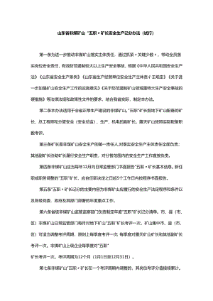 《山东省非煤矿山“五职”矿长安全生产记分办法（试行）》全文及解读.docx