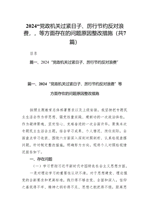 “党政机关过紧日子、厉行节约反对浪费”等方面存在的问题原因整改措施7篇（最新版）.docx