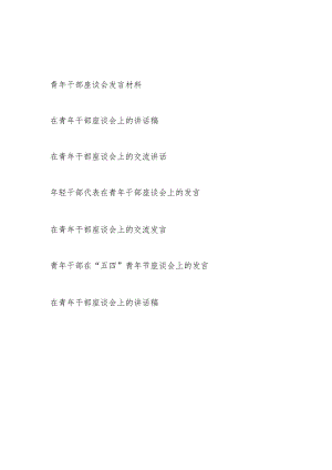 2024年领导书记年轻干部代表在青年干部座谈会发言讲话材料7篇.docx