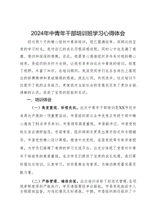 2024年中青年干部培训班学习心得体会.docx