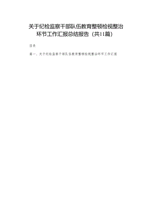 （11篇）关于纪检监察干部队伍教育整顿检视整治环节工作汇报总结报告通用范文.docx