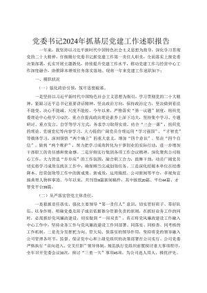 党委书记2024年抓基层党建工作述职报告.docx