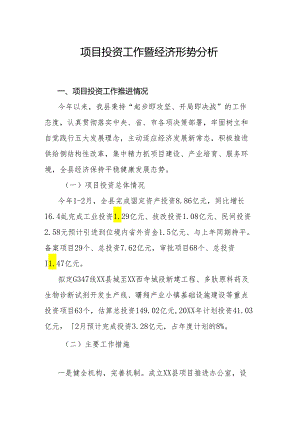 项目投资工作暨经济形势分析.docx