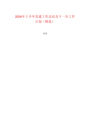 2024年上半年党建工作总结及下一步工作计划（精选）.docx