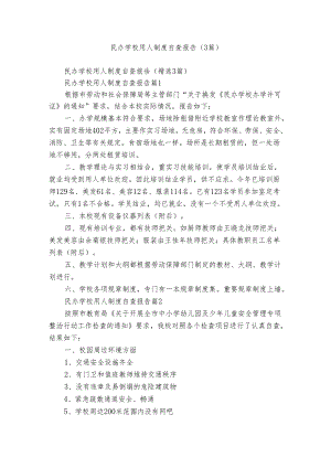 民办学校用人制度自查报告（3篇）.docx