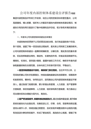 公司年度内部控制体系建设自评报告.docx