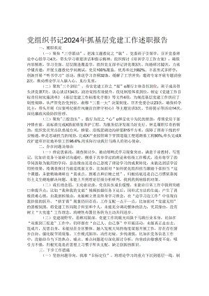 党组织书记2024年抓基层党建工作述职报告.docx