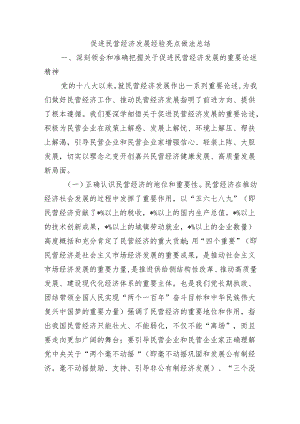 促进民营经济发展经验亮点做法总结.docx