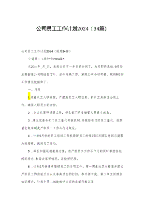 公司员工工作计划2024（34篇）.docx