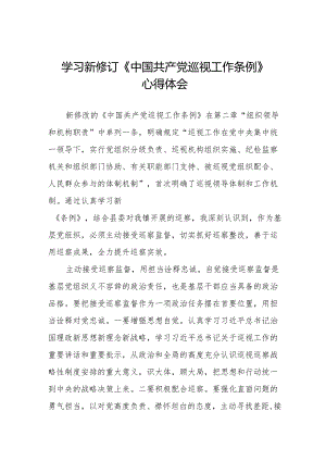 巡察干部学习2024新版中国共产党巡视工作条例的心得体会8篇.docx